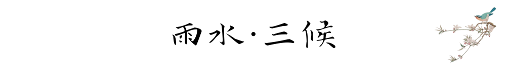 Generic placeholder