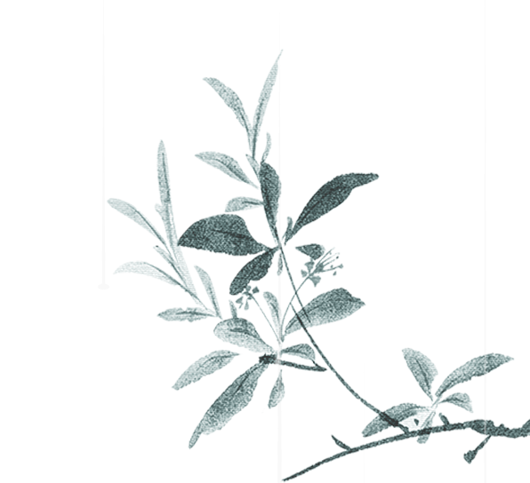 Generic placeholder