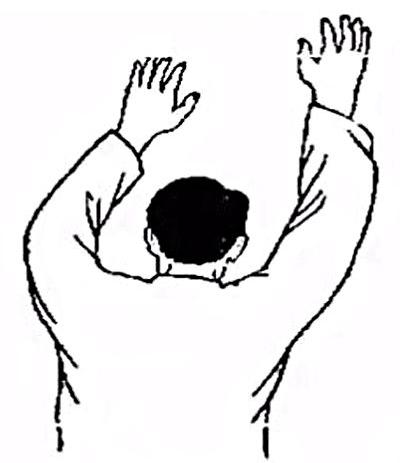 height="232"